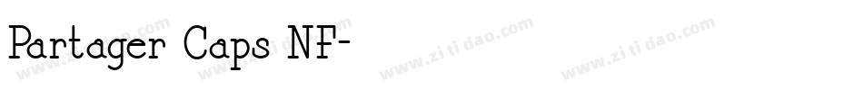 Partager Caps NF字体转换